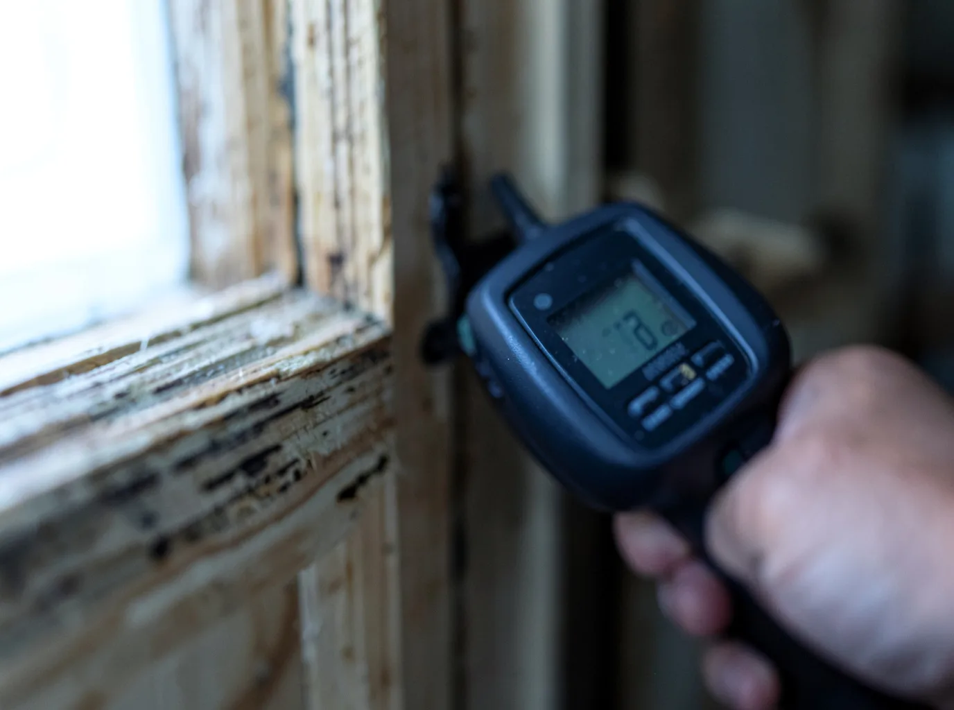 Moisture Inspection And Documentation in Good Thunder, MN